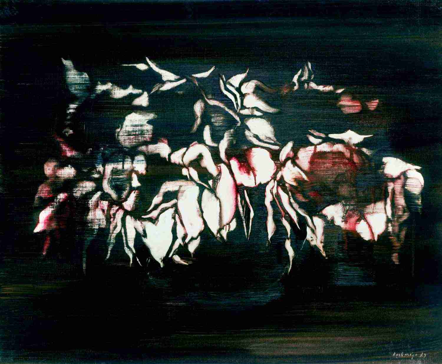 ida archivio barbarigo cadorin music